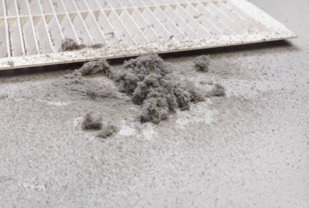 Best Ductwork Cleaning Services  in Shingletown, CA