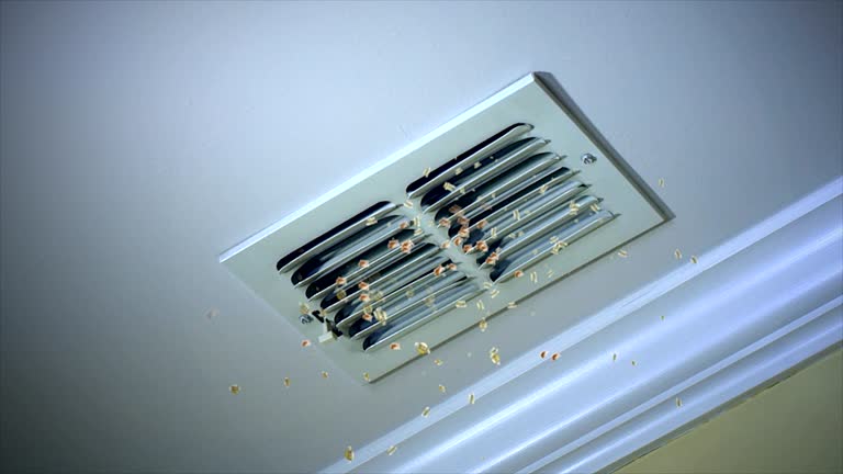 Home Air Vent Cleaning in Shingletown, CA