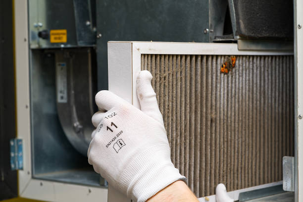 Best Affordable HVAC Duct Cleaning  in Shingletown, CA